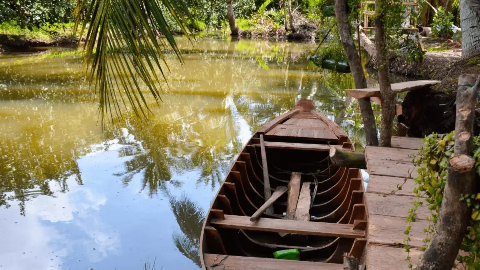 Nhà vườn Vũ Minh: Tham gia chọi gà, ngồi xích du phong cách Bali. Chèo xuồng vào vườn cam, dừa và thưởng thức nước dừa mát ngọt của đất cồn.