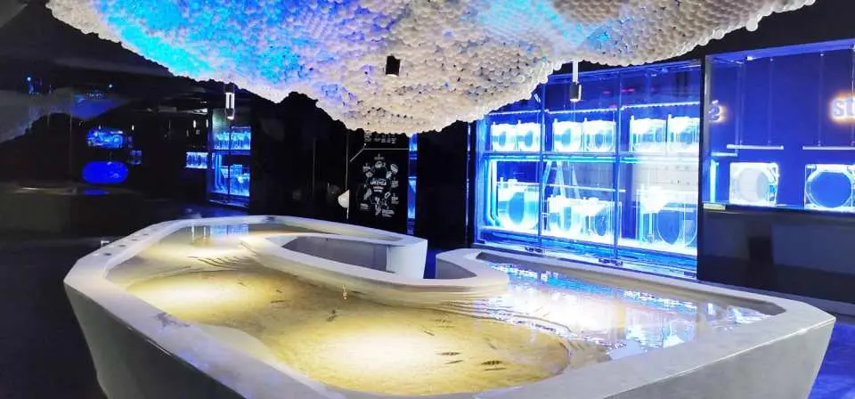 普吉水族館兩隻企鵝在蔚藍水中靈活游動，展現優雅姿態，為遊客提供近距離觀賞海洋動物的機會。