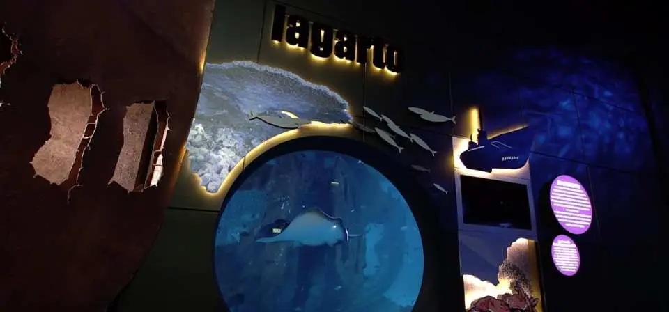 普吉水族館的每日動物餵食與表演時間表，詳列各種互動活動，方便遊客規劃行程。