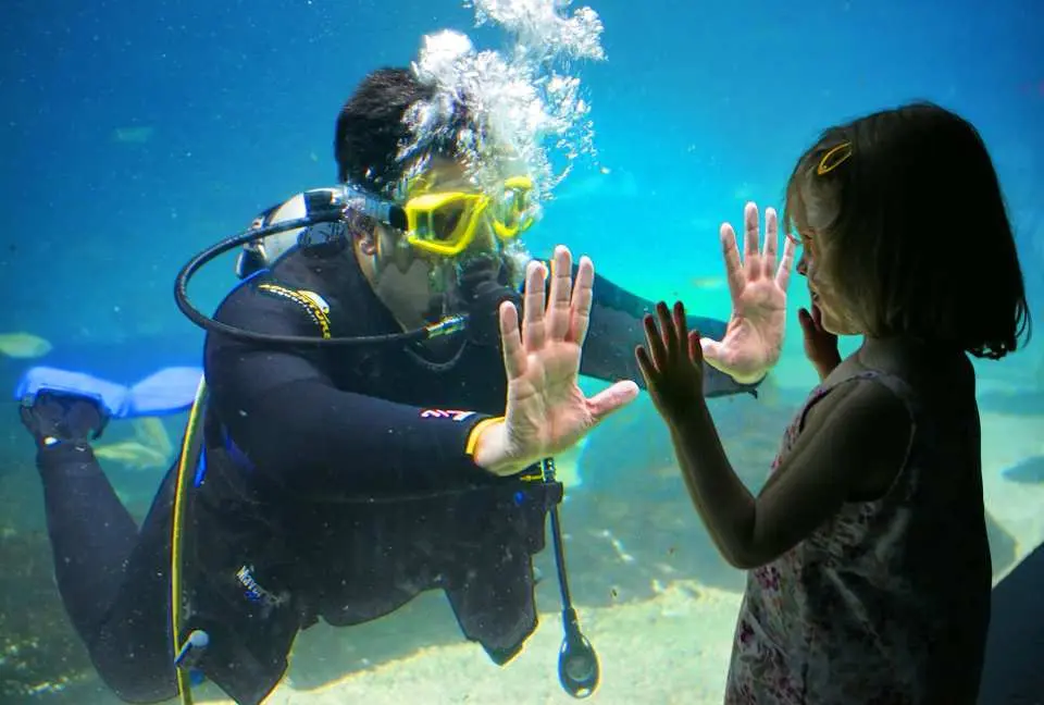 An interactive moment at Adventure Aquarium, where a scuba diver inside the tank presses hands against the glass with a little girl, creating a memorable marine experience.
