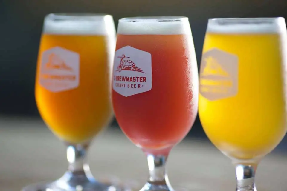 General briefing: C-Brewmaster history of forming, big dream - Making beer, different types of beer - C-Brewmaster craft beer - Journey of entrepreneurship
