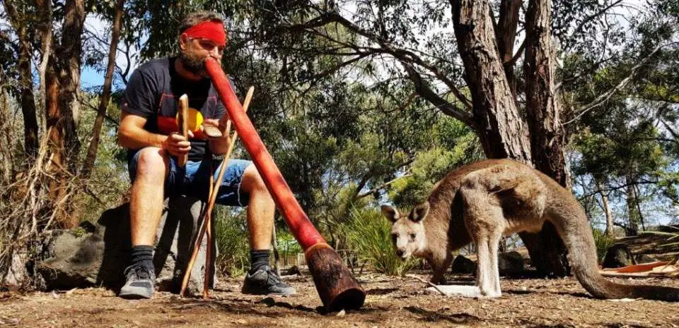An Indigenous performer plays the didgeridoo at Narana Aboriginal Cultural Centre in Victoria, Australia, with a kangaroo standing nearby, illustrating Australia's unique aboriginal culture and wildlife.