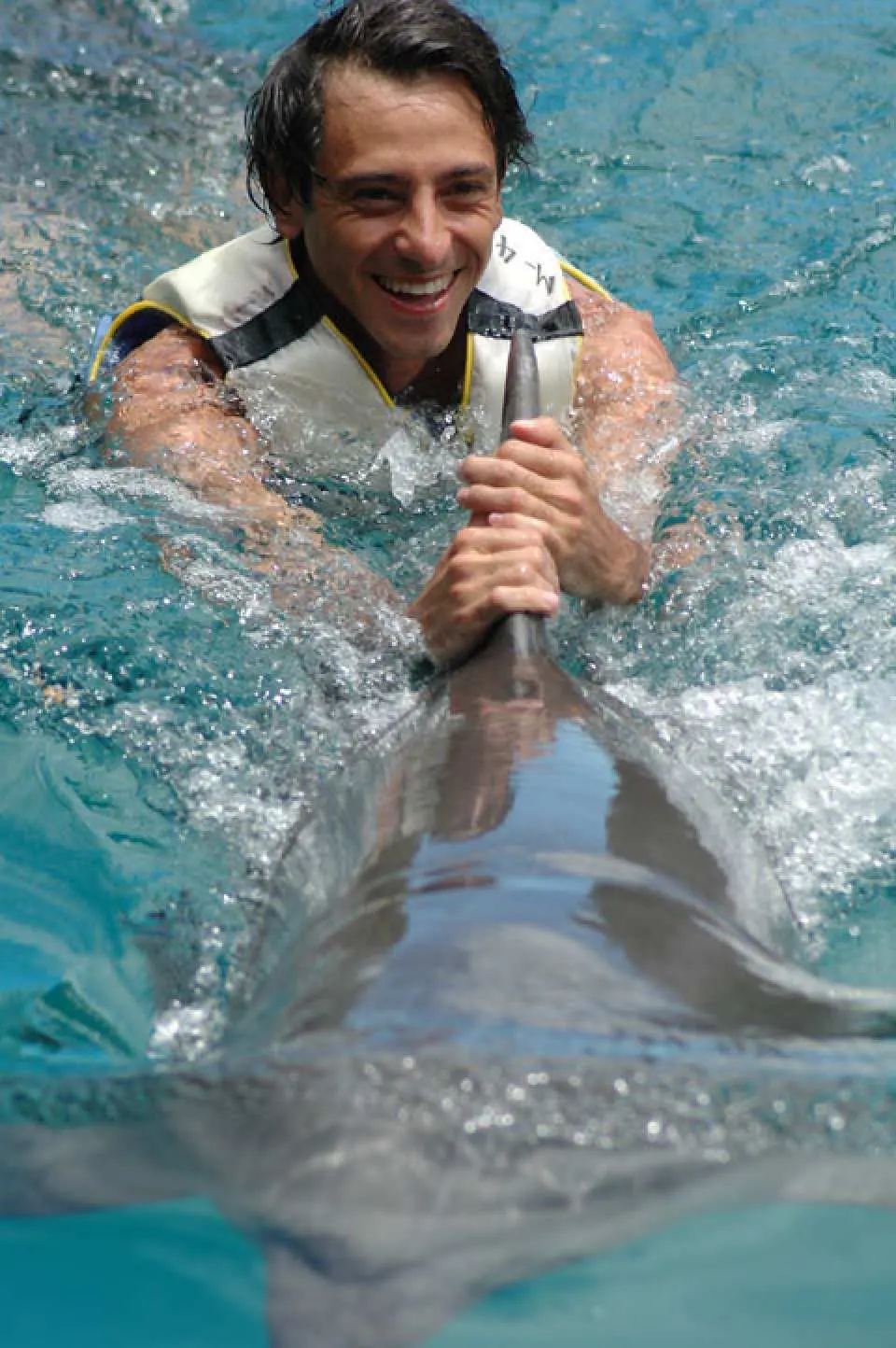 更加了解海豚習性