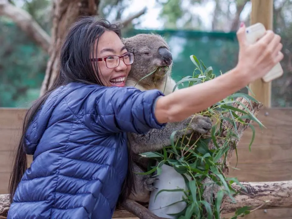 在维多利亚月光保护区，一位兴奋的游客与可爱考拉开心自拍，捕捉与澳洲本土动物的独特互动瞬间。