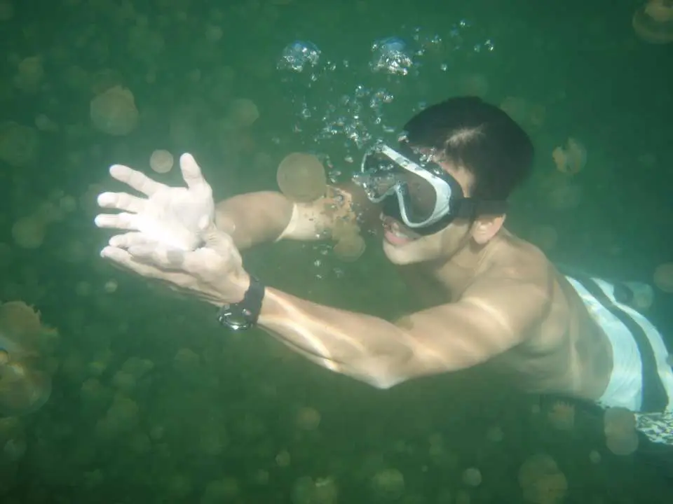 水母湖之旅體驗與水母共游