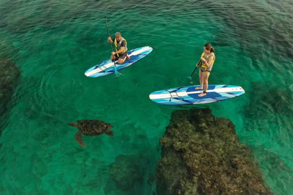 Aerial view of visitors enjoying SUP paddleboarding and snorkeling in Xiaoliuqiu's crystal-clear waters, with a sea turtle swimming gracefully near coral reefs, a close encounter with marine life.