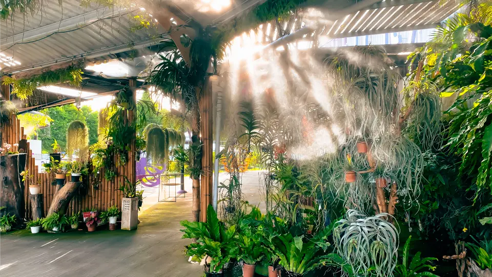 蘭都廠內美景 — 蘭花廊道