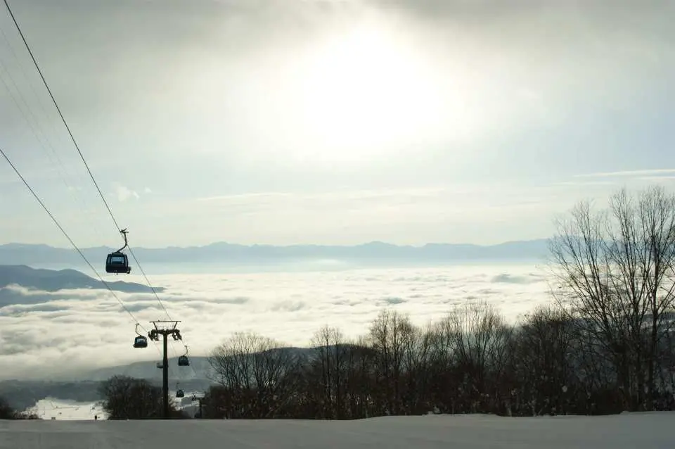 At Myoko Suginohara Ski Resort, 80% of the slopes are for beginner and intermediate skiers.