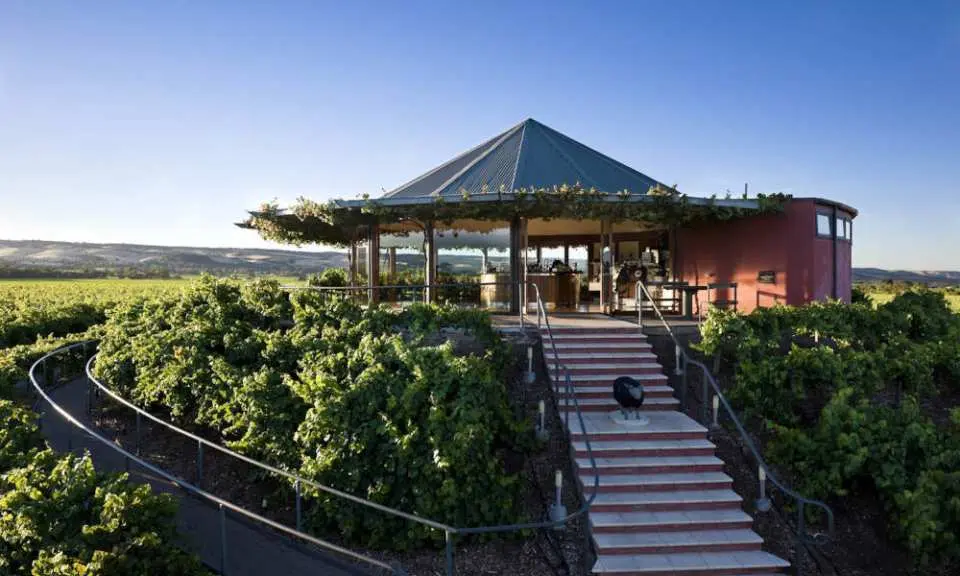 A unique winery building in McLaren Vale, nestled on a vineyard hill, where visitors overlook the South Australian wine region from its observation room, easily accessible by the hop-on hop-off bus for a tasting tour.