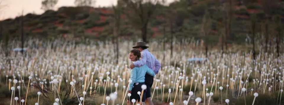 field of light field with visitors walking through the field