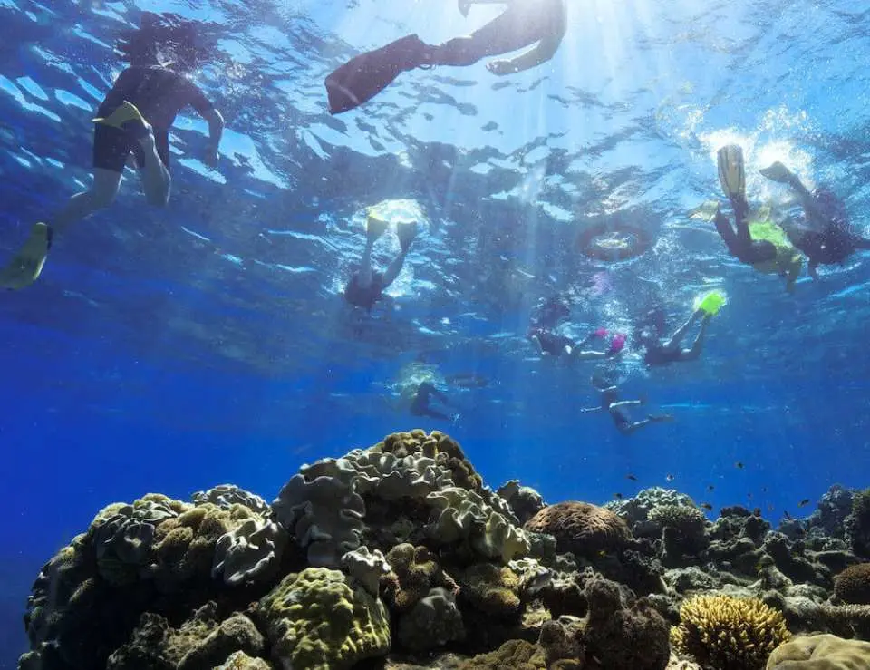 水中から見上げる視点。ケアンズ、グリーン島の大堡礁海域で多くのシュノーケリング客が泳ぎ、太陽の光が透き通った海を通して豊かなサンゴ礁の生態系を照らす。