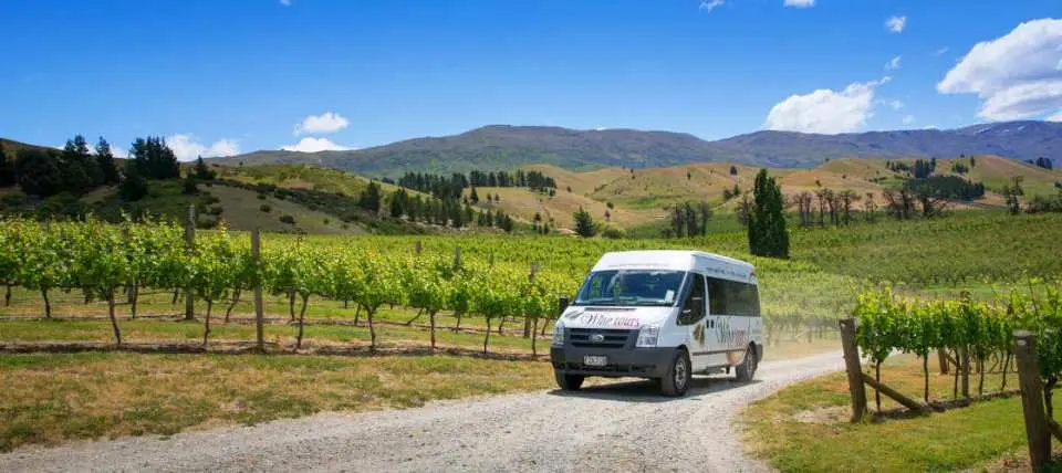 Enhance your experience with informative commentary during the drive through the Kawarau Gorge