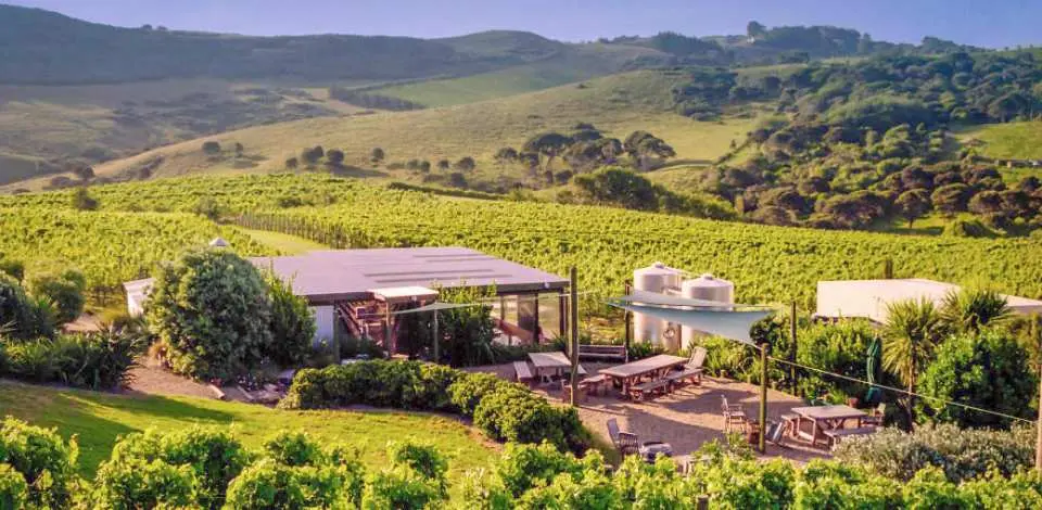 Visit Rangihoua Estate on the Waiheke Island Wine & Dine Lunch Tour