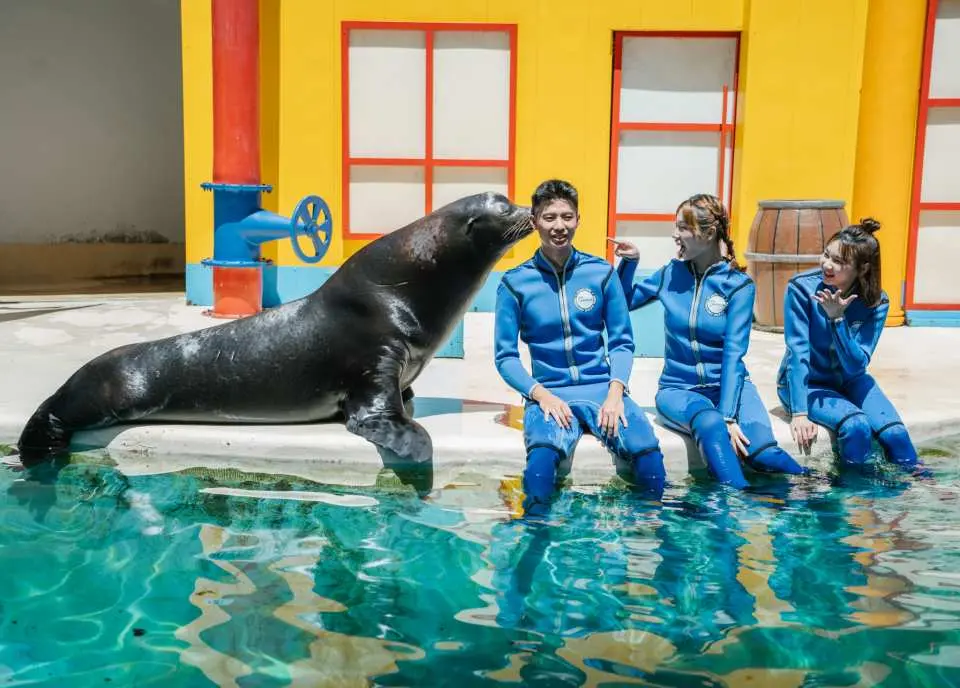 花蓮遠雄海洋公園，遊客穿著藍色潛水衣與海獅親密互動，體驗零距離接觸的獨家活動，背景為鮮豔建築。