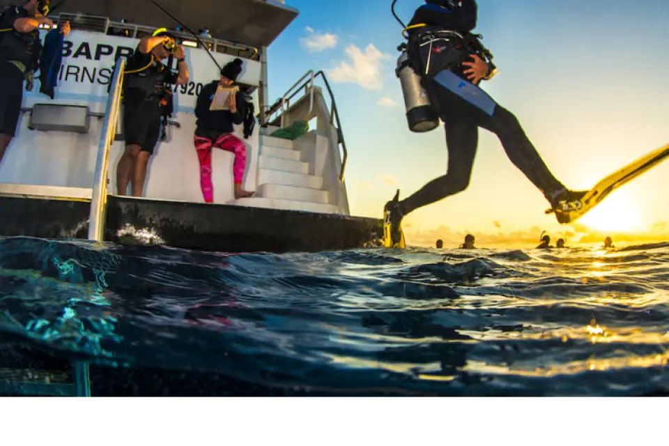 Diver 7: Enjoy a sunrise dive and experience the reef as it's waking up
