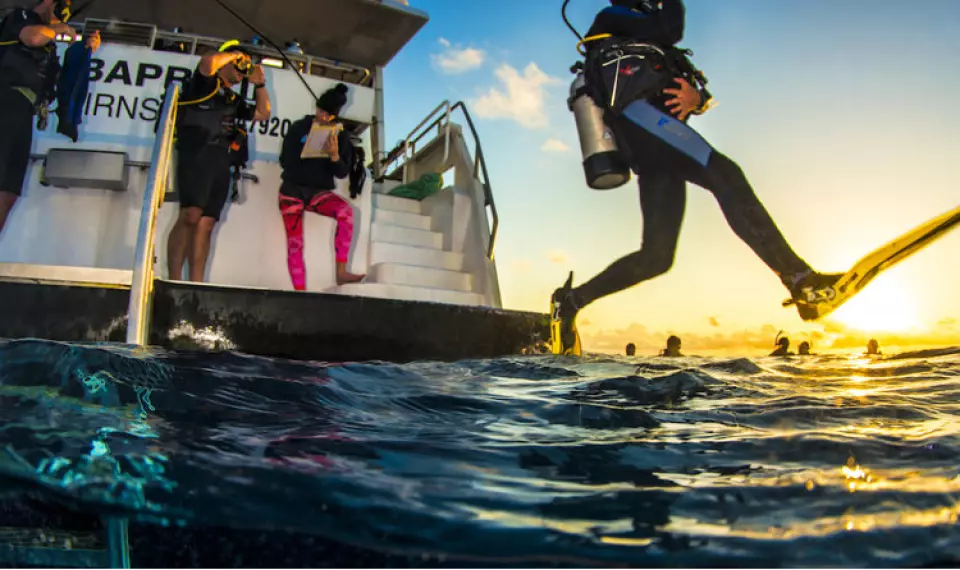 Get up early for a sunrise dive!