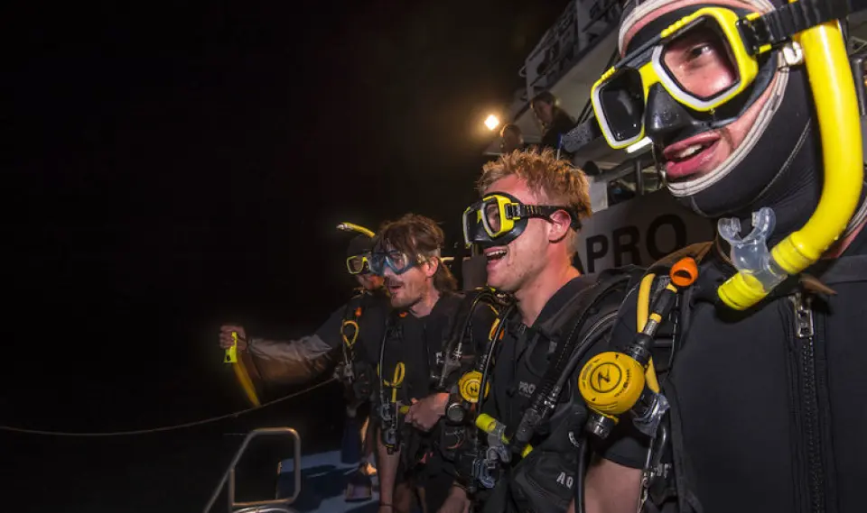 Feel the thrill of the night dive! You'll be diving at the same site as the afternoon dive so you'll be diving in familiar waters