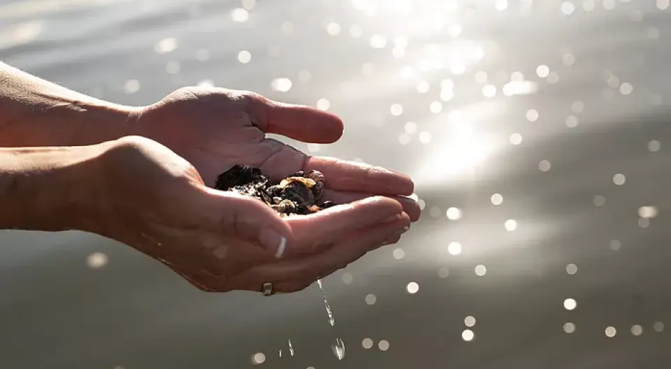 Immerse yourself in the workings of an operating oyster farm!