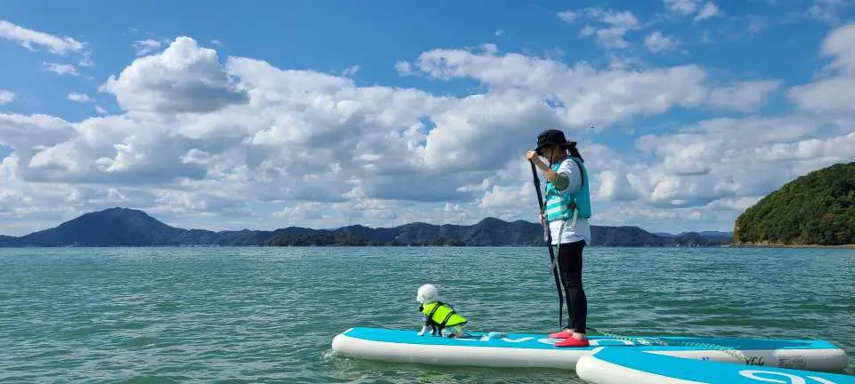 クリアSUP・通常SUP　穏やかな瀬戸内海でゆったり海上さんぽはいかがでしょうか　愛媛県初のクリアSUPオススメです！