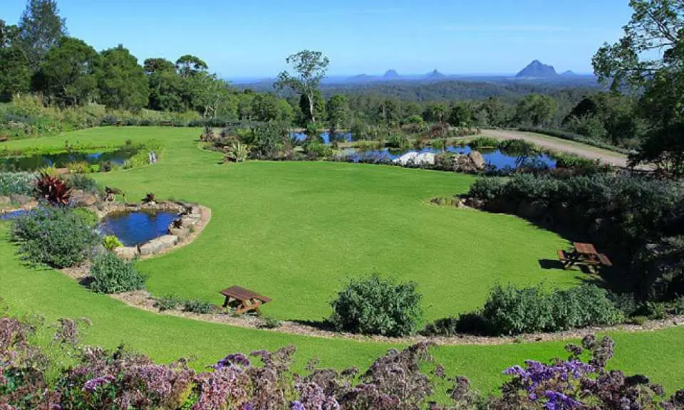 Grassy terrain with a small pond to the left