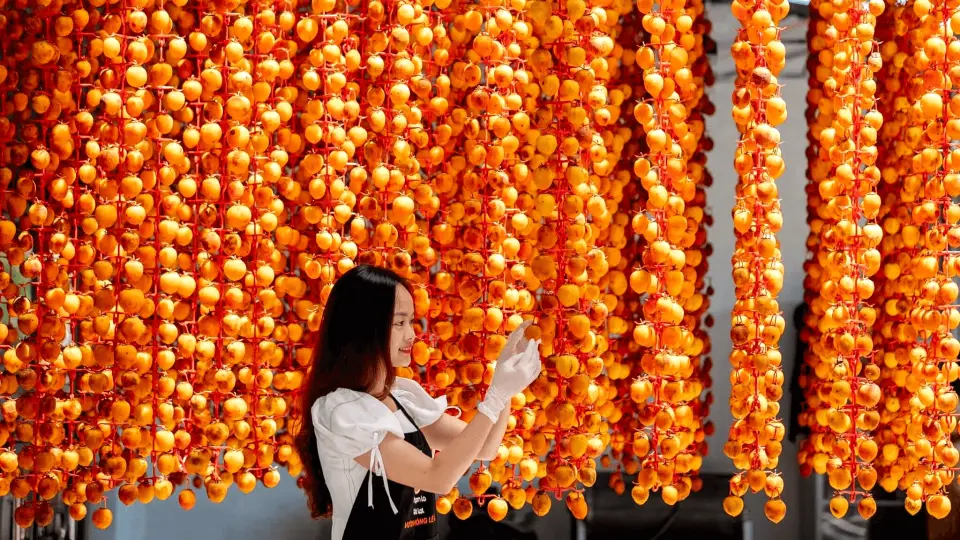 Vườn hồng treo gió: một trong những đặc sản không thể bỏ qua tại Đà Lạt.