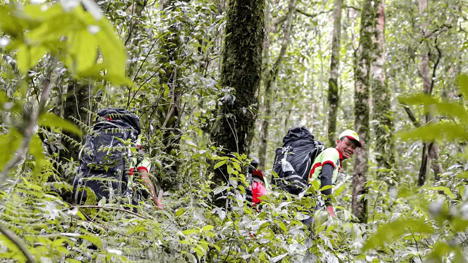 Hikers with backpacks trekking deep through the dense jungle of Samson Mountain, enjoying Da Lat's pristine natural scenery.