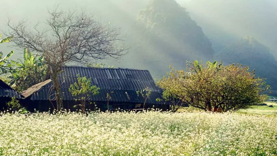 Đến với Hang Táu, quý khách sẽ được ngắm nhìn vẻ đẹp hoang sơ của núi rừng và cuộc sống yên bình của người dân nơi đây. Giữa thung lũng là đồng cỏ, bao quanh là cánh rừng xanh, vườn cây trái, nương ngô xanh tốt, càng tạo nên không gian yên bình, trong lành và mát dịu. Tiếng chim rừng hót líu lo, tiếng lục lạc của những đàn trâu, bò mải mê gặm cỏ và văng vẳng tiếng nô đùa của con trẻ...