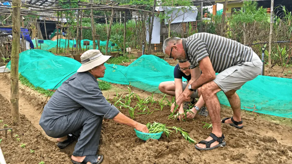 在菜園裡漫步，聆聽村民講述有機藥草種植方法後改變生活的故事。之後我們和農民一起做一些園藝活動，比如在土地上準備和施用有機肥料、耙地、播種、澆水和採摘蔬菜。