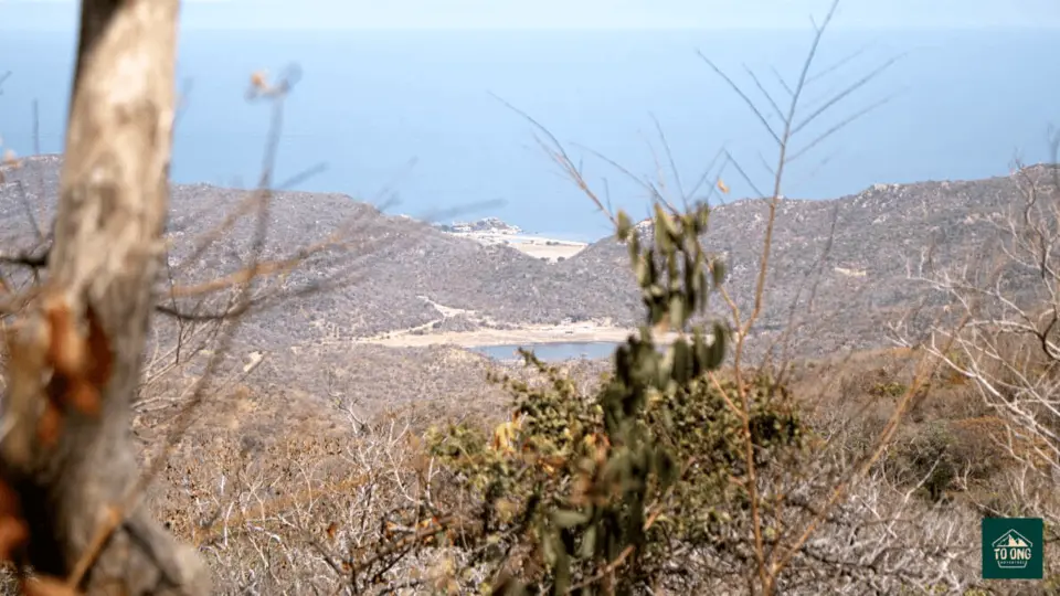 Continue trekking along the coast.