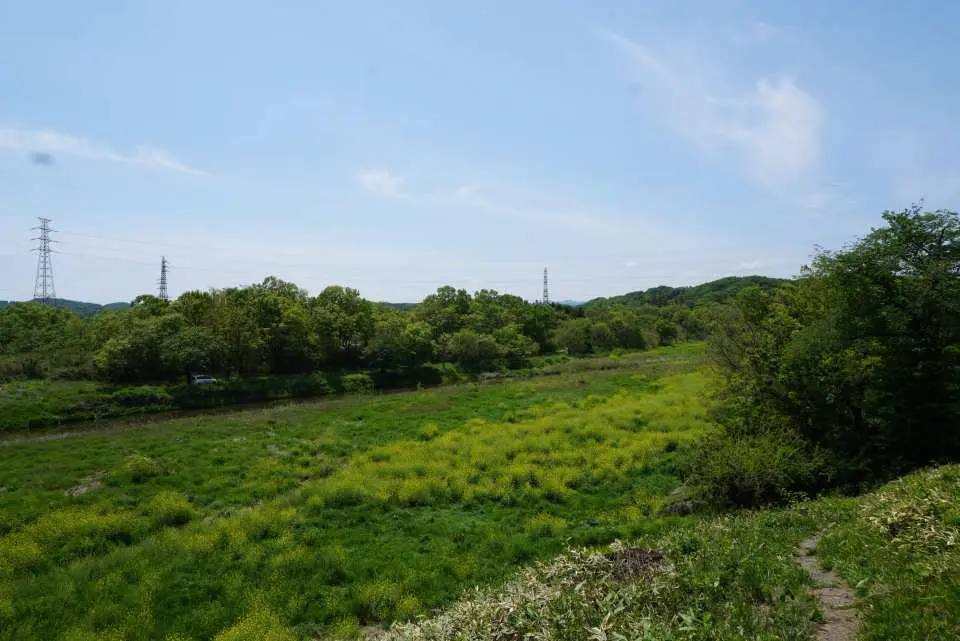 美術館周りの景色