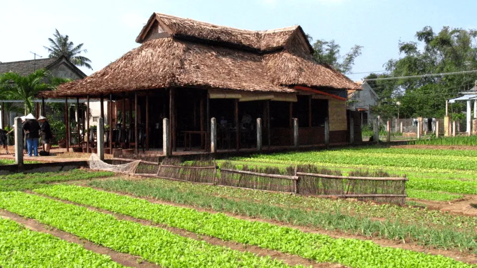 Arrive at Thanh dong organic farm - a 10,000 sqm organic garden supporting 11 local families. We will take a short stroll around the vegetable garden while listening to the life-changing story of the farmers since they have been approached organic method of cultivating herbs. Afterwards we join the farmers to do some gardening activities like preparing and applying organic manure to the land, raking the ground, sowing herb seed, watering or picking vegetables.