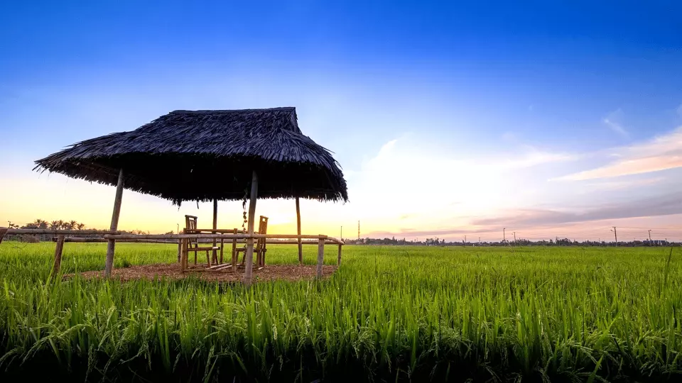 Bữa tối BBQ sẽ được phục vụ trên bè tre riêng trên bờ sông Cổ Cò, hoặc giữa những cánh đồng lúa gần nhà hàng.