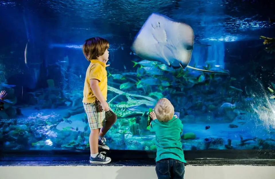 Two young children are captivated by a graceful stingray swimming past a vibrant coral reef in a large exhibit at SEA LIFE Aquarium New Jersey.