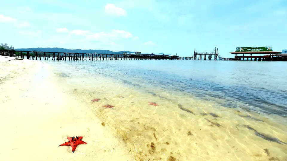 探索海星海滩，这里因旱季（11 月至 4 月）期间成千上万的海星来到海岸而闻名。雨季期间，虽然没有海星，但这里的异国美景仍然值得一游