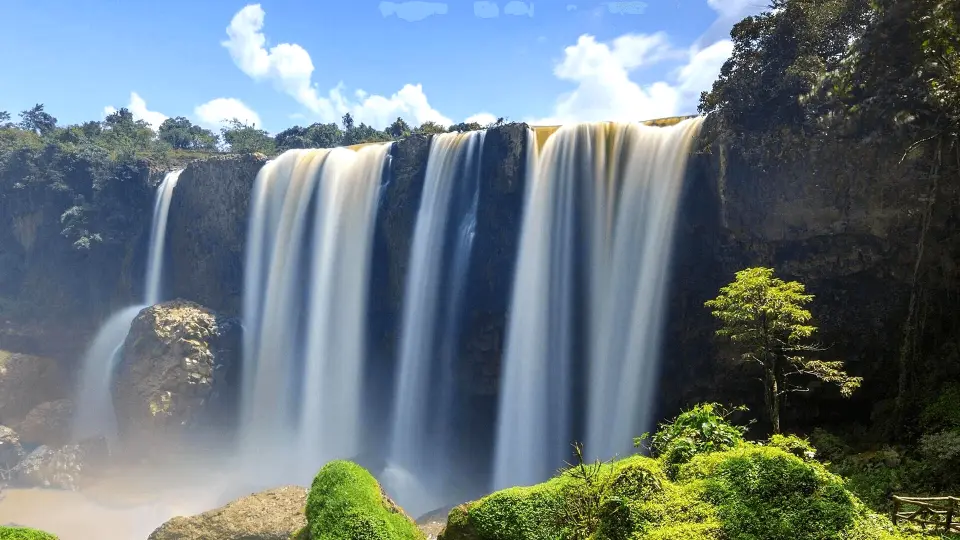 One of the most Powerful Waterfall in Dalat, discover the windy cave under the waterfall. ***Due to the waterfall's operational issue, Elephant waterfall is temporarily closed. However, we are still able to enjoy the whole view of this breath-taking waterfall from Linh An pagoda (a close distance)