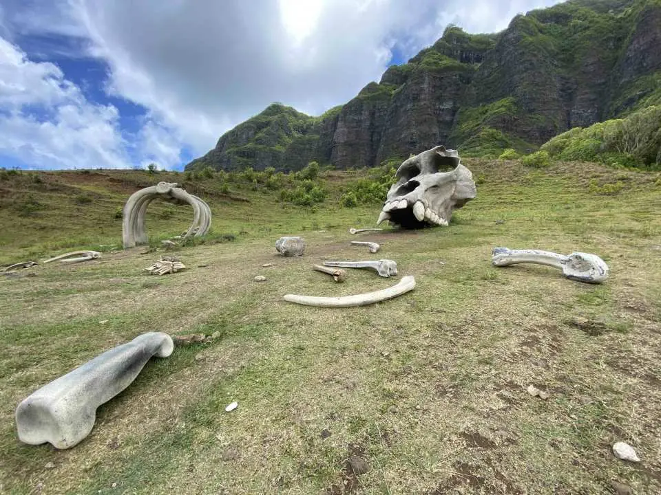Kualoa Ranch Jurassic Adventure movie set on Oahu, Hawaii, featuring giant scattered bones and a King Kong skull on a vast grassy field against majestic mountains.