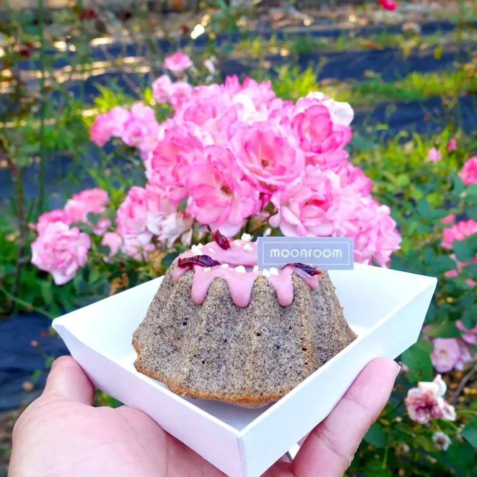 紅玉茶山——想要寶石嗎？ 想要的話可以全部給你， 我把所有的寶石都放在紅玉茶山了。  紅玉、紅寶石 美食地圖上的夢幻座標！  散發著典雅「紅玉」茶香的蛋糕體， 與浪漫稀有呈現天然粉紅色的 世界第四種巧克力「紅寶石巧克力 Ruby Chocolate」 再以有「北美紅寶石」之稱的蔓越莓點綴， 奢侈的紅寶石三重奏，紅玉茶山 華麗登場！
