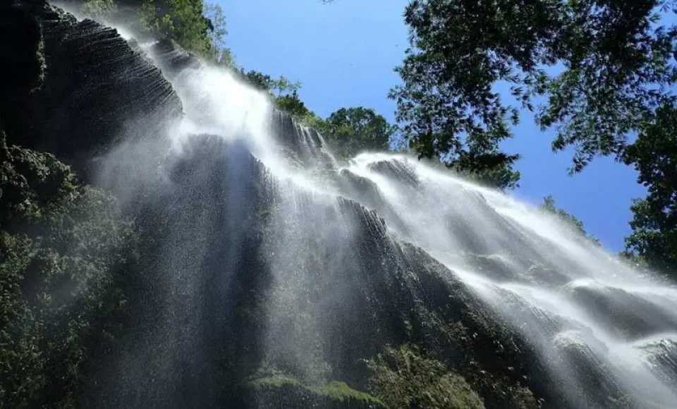 Enjoy a full day of fun and adventure as you dive with the Oslob whale sharks and visit the Tumalog Falls (Closed every 2nd Wednesday for Clean Up Drive)