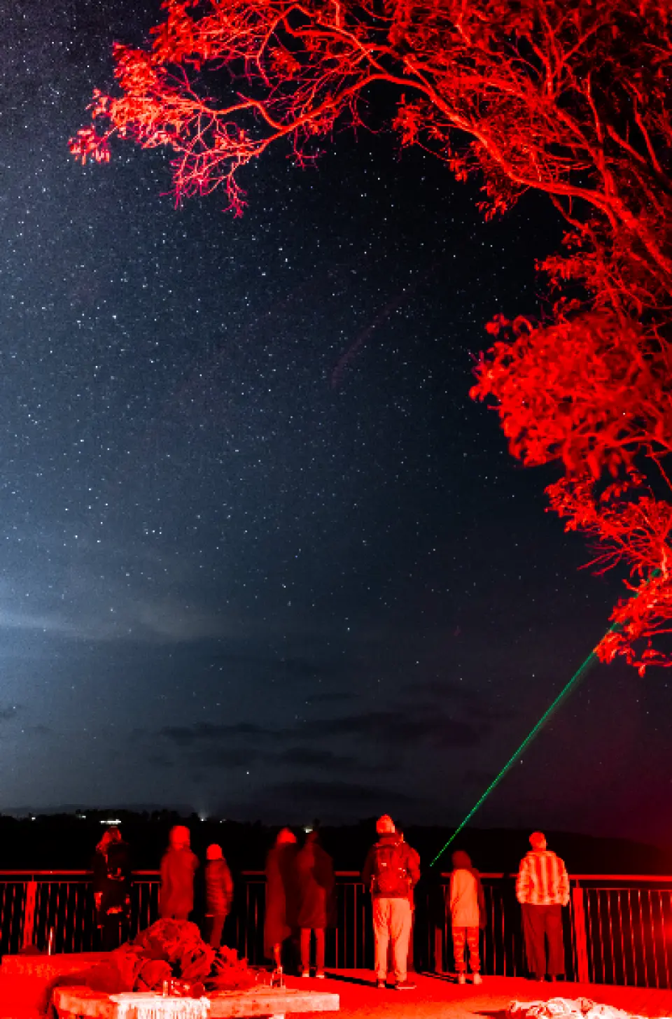Blue Mountains stargazing guide uses a green laser pointer, explaining constellations and their stories to visitors under red-lit trees in the New South Wales night sky.