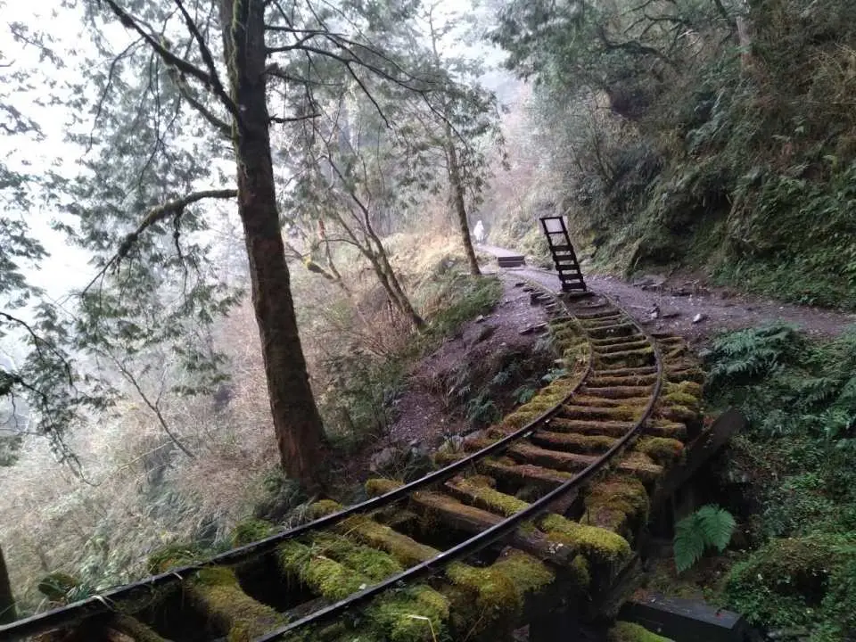 見晴懷古步道係由太平山「見晴線運材軌道」部分路段整建而成，入口處位於太平山宜專一線23公里處，步道長0.9公里。 見晴線運材軌道原長約5.5公里，有寬廣的視野、平緩的路徑、蒼翠的地貌、筆直的林相，以及迂迴曲折的鐵道路徑，自然與人文資產皆豐。因此步道整建之時，保留山地運材鐵道特色，傍著迂迴曲折的鐵道路徑，沿途保有鐵道、木馬、台車輪軸等歷史痕跡，成就一條可觀山觀雲、探索自然、緬懷往昔的懷古步道。