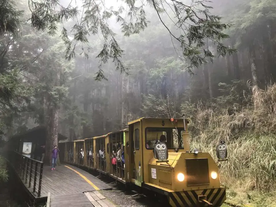 蹦蹦車車票一律現場排隊購票，旅客可利用停留於太平山莊時間自費搭乘。