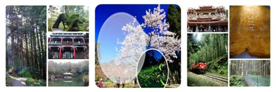พักผ่อนตามอัธยาศัยที่พื้นที่สันทนาการป่าอาลีซาน ขอแนะนำให้นั่งรถไฟ Alishan Forest Train