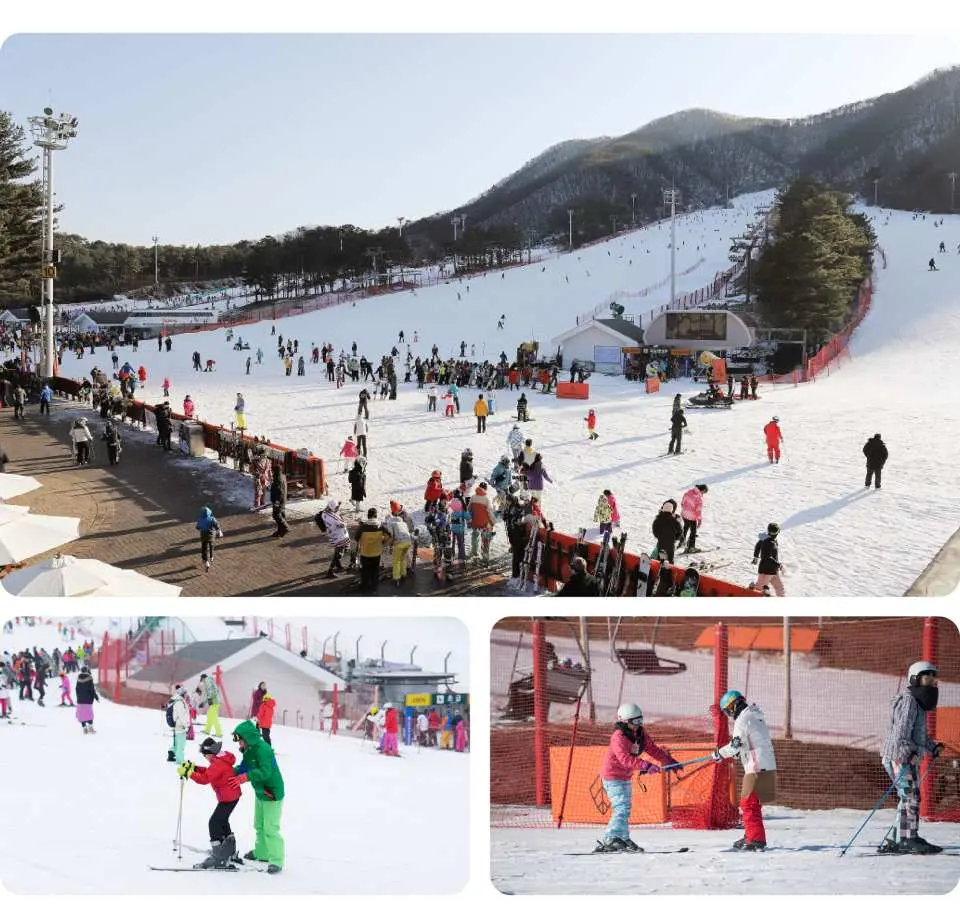 Collage image of Jisan Forest Ski Resort, featuring a bustling base area, an adult teaching a child to ski, and beginners practicing on gentle slopes, ideal for a family-friendly winter trip from Seoul.