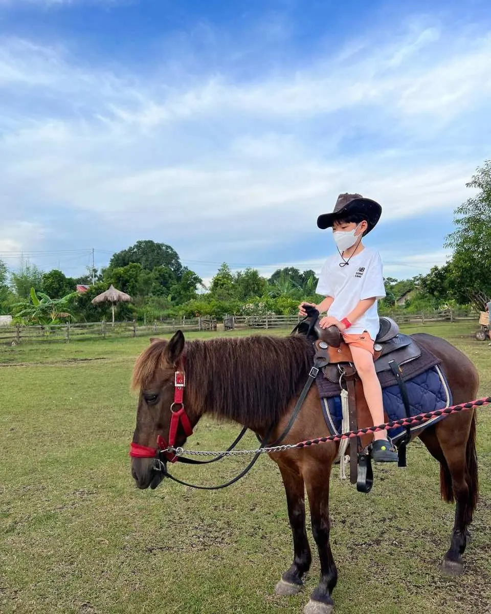 Try the unique horseback riding experience