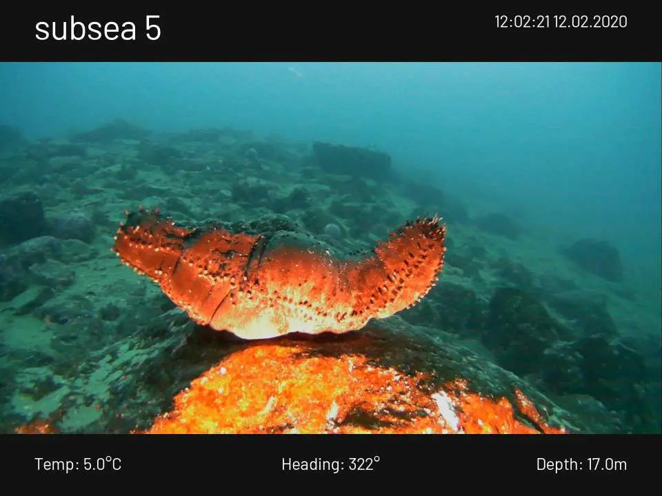 Arctic Fjord Cruise & Visit the Traditional Fishing Facility from Tromsø | Norway