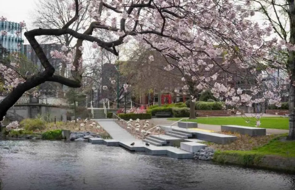 基督城－亞芳河－回憶橋－夢納維爾花園－基督城／奧克蘭／桃園國際機場