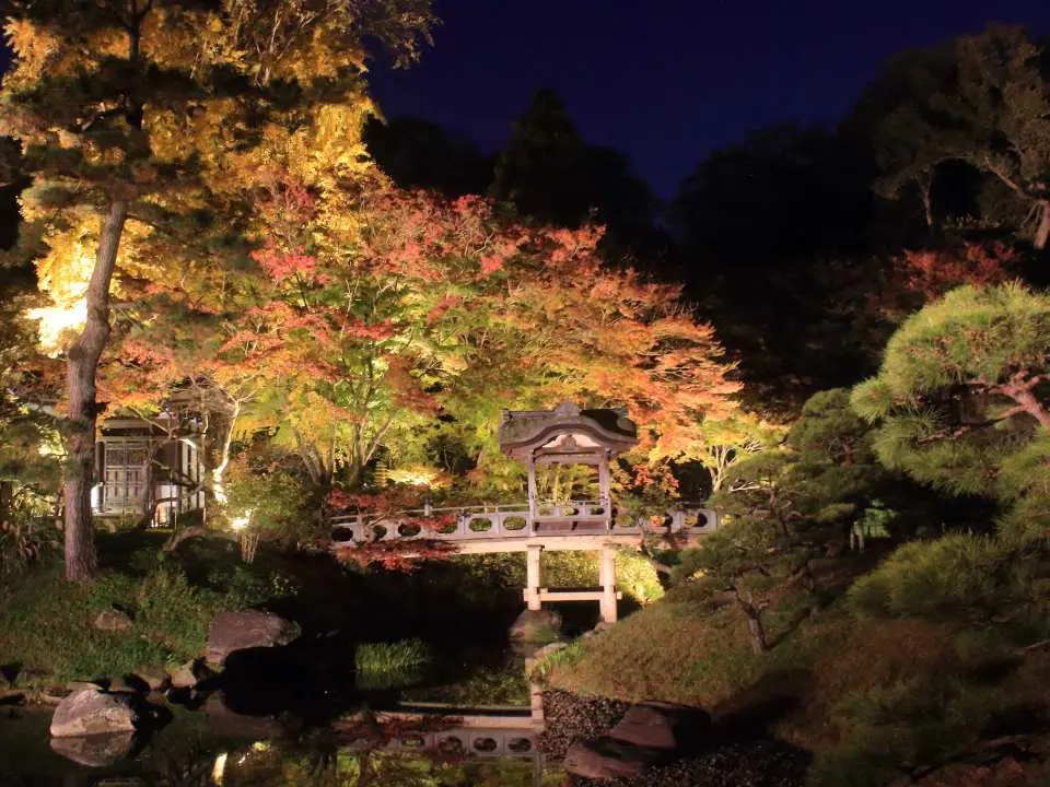 橫濱三溪園秋季夜間點燈，鮮豔紅葉在燈光下倒映湖面，古橋與庭園建築營造出如畫般迷人的夜間景色。