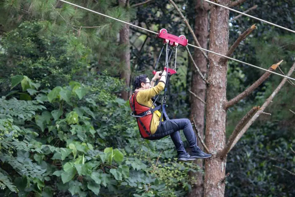 A person on a zipline enjoys a close-up view of Da Lat's lush forest, gliding past trees and dense foliage during an exciting treetop adventure.