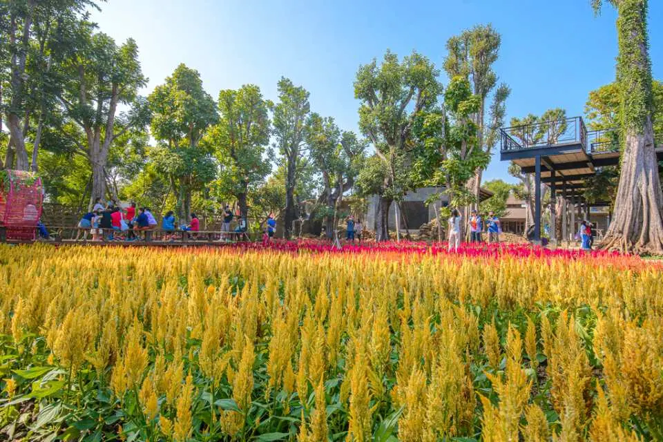 Step into a floral paradise at We Love Flowers garden