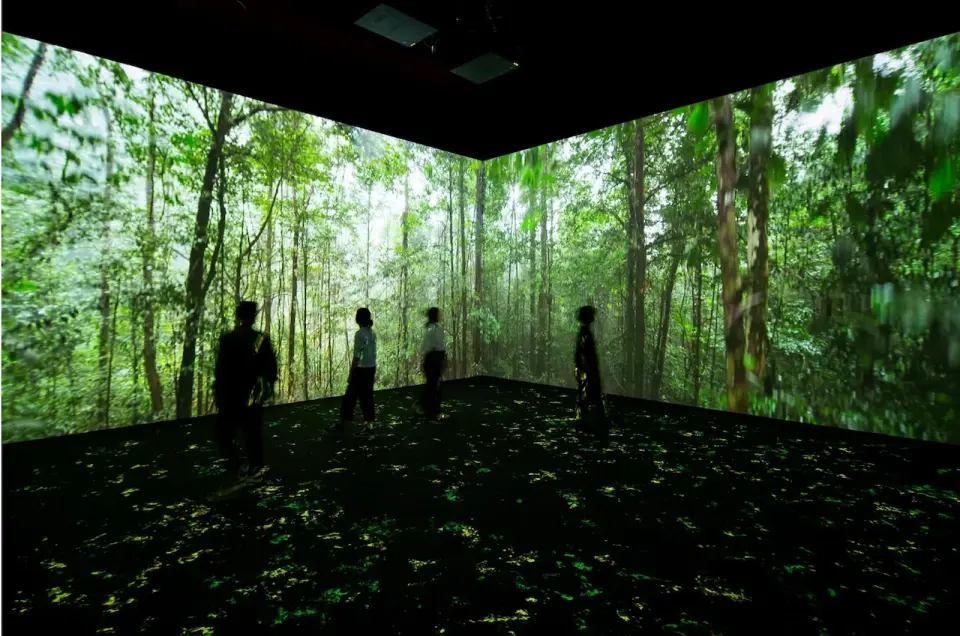 照片由 Sensory Odyssey Studio 提供
